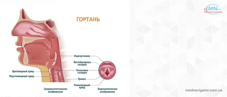 Заболевания нервного аппарата гортани