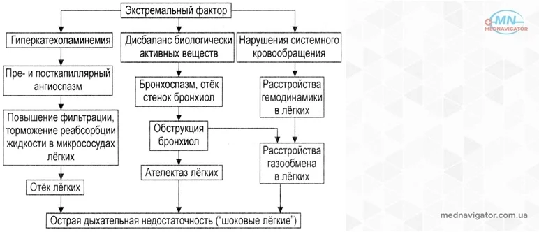 Значение изменения отдельных показателей внутрисосудистого гомеостаза в развитии циркуляторной гипоксии при старении